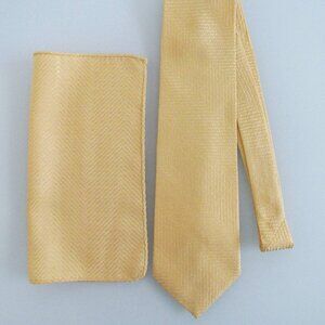 Carlo Palazzo Men's Silk Tie & Pocket Square Set